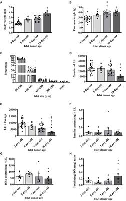 Yield, cell composition, and function of islets isolated from different ages of neonatal pigs